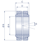 009971 MPGE100ES-2RS  RADIAL BALL JOINT GE ES 2RS TREATED STEEL.jpg