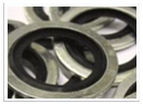 026211 BS 1" RVS/FKM CENTR  BONDED SEAL 
