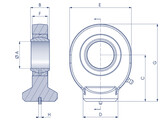 MPLR060070038