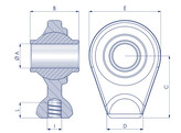 MPBT030070051